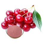 Tart Cherry Extract Supplier - Juice Powder Fruit Powder
