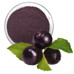 Acai Berry Extract Factory - 5%-25% Anthocyanidin Powder