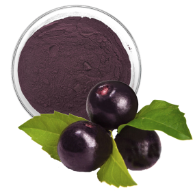 Acai Berry Extract Factory - 5%-25% Anthocyanidin Powder