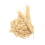 Oat Beta Glucan Supplier - 70% 80% Oat Extract
