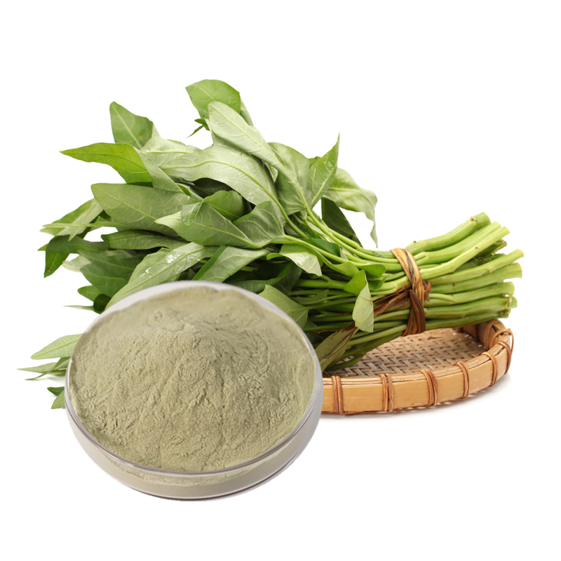 Spinach Powder Supplier - Organic Green Vegetable Extract