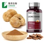 Lions Mane Powder Manufacturer - Mushroom Extract Hericium