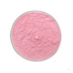 Pomegranate Powder Factory - Fruit Powder Juice Powder Bulk