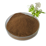 Valerian Extract Supplier - Root Extract 0.5% Valerenic Acid