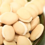 White Lentil Supplier - Small Sample OEM Customization