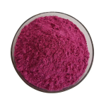 Dragon Fruit Powder Factory - Red Pitaya Freeze-dried