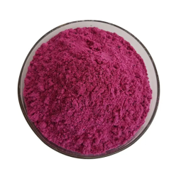 Dragon Fruit Powder Factory - Red Pitaya Freeze-dried