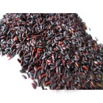 Wild Rice Supplier - Canada Black High Benefits
