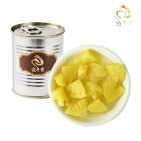 Pineapple Canned Factory - Natural Sugar Water Slice