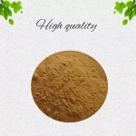Cactus Extract Supplier - Opuntia Ficus-indica Powder