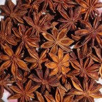 Star Anise Powder Manufacturer - Fennel Cumin Extract Factory