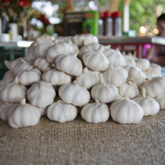 Garlic Manufacturer - Mixed Spices Fresh Dry Economical