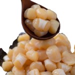 Scallop Manufacturer - Nourishing Seafood Natural Sale