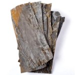 Dried Kelp Supplier - Wild New Product Direct Sales