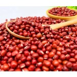 Adzuki Beans Factory - Export Grade Small Red Sale