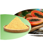 Papaya Powder Supplier - Juice Enzyme High Quality