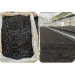 Mulberry Tea Manufacturer - Sweet Black Infused Flavor