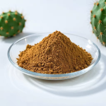 Cactus Extract Supplier - Opuntia Ficus-indica Powder