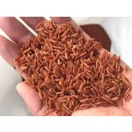 Red Rice Factory - Self-produced Wine Porridge Coarse