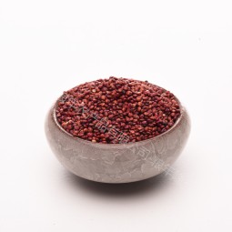 Red Quinoa Manufacturer - Fashion Seeds High Quality Branded