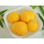 Canned Peach Supplier - Fresh Bulk Light Syrup Dice