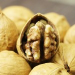 Walnut Kernels Supplier - Highest Grade Healthy Dried