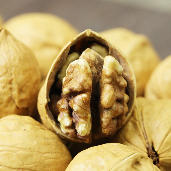 Walnut Kernels Supplier - Highest Grade Healthy Dried