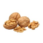 Walnut Kernels Factory - Lightly Ripened Delicious Nuts