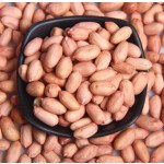 Peanuts Manufacturer - Raw Natural Blanched Kernel