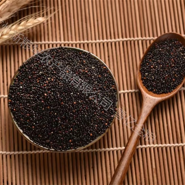 Quinoa Rice Manufacturer - Puffed Tri Color Superior Quality