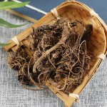 Valerian Root Manufacturer - Chinese Herb Dried Root Wholesale