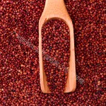 Red Quinoa Manufacturer - Fashion Seeds High Quality Branded