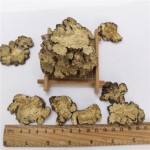 Chuanxiong Herb Factory - High-quality Chinese Herb Complete