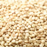White Quinoa Manufacturer - Branded Grain Wholesale