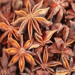 Star Anise Powder Manufacturer - Fennel Cumin Extract Factory