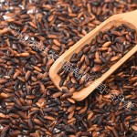 Black Rice Manufacturer - Glutinous Natural Organic Polished