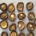 Shiitake Mushroom Supplier - Dehydrated Organic Freeze Dried