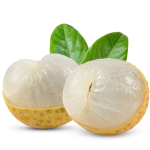 Longan Canned Supplier - Syrup Fresh Food Tin Sweet