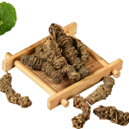 Valerian Root Manufacturer - Chinese Herb Dried Root Wholesale