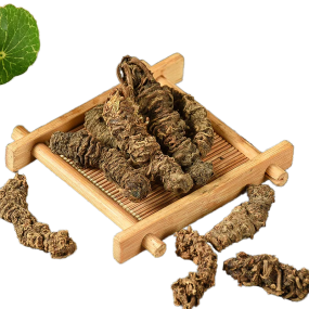 Valerian Root Manufacturer - Chinese Herb Dried Root Wholesale