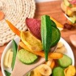 Vegetable Chips Factory - Mixed Fruits Mushrooms Taro