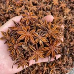 Star Aniseeds Factory - Sulfur Free High Quality Anise