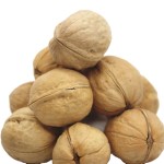 Walnut Kernels Factory - Lightly Ripened Delicious Nuts