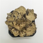 Chuanxiong Herb Factory - High-quality Chinese Herb Complete