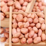 Peanuts Manufacturer - Raw Natural Blanched Kernel