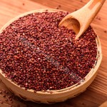 Red Quinoa Supplier - Fashion Seeds Branded Sale