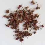 Red Peppercorns Supplier - Sichuan Dried Dahongpao Seasoning