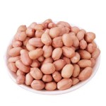 Peanuts Manufacturer - Raw Natural Blanched Kernel