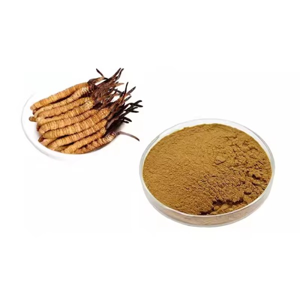 Cordycepin Supplement Manufacturer - 98% Health Care Powder