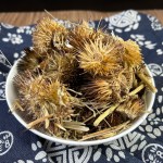Echinacea Root Tea Supplier - Wildcrafted Immune Health Herbal